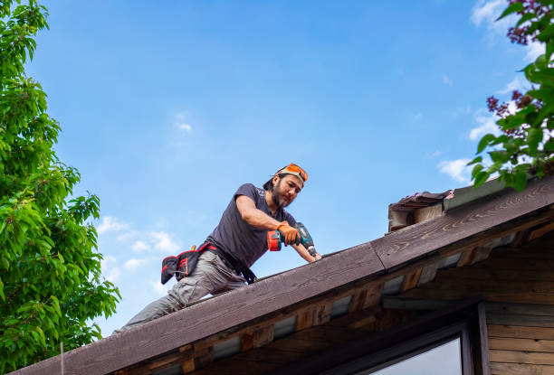 Best Cold Roofs  in Flagstaff, AZ